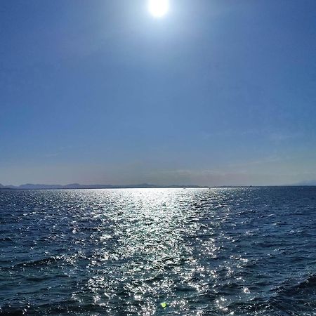 Apartamento Cerca De La Playa La Mata La Mata  Phòng bức ảnh